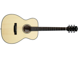 Harmony (String Instruments) Terra FS OM