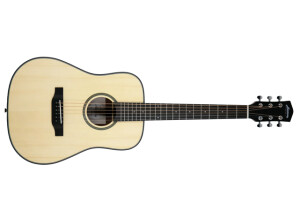Harmony (String Instruments) Terra ST Petite Dreadnought