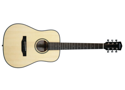 Harmony (String Instruments) Terra ST Petite Dreadnought