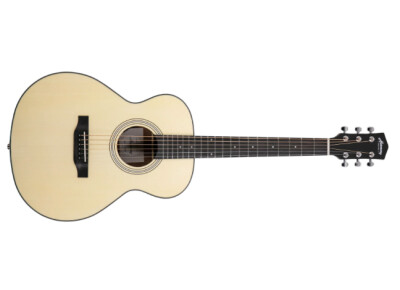 Harmony (String Instruments) e-Terra Petite OM