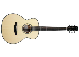 Harmony (String Instruments) Terra ST Petite OM
