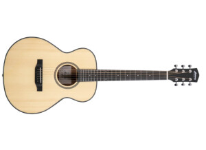 Harmony (String Instruments) e-Terra ST Petite OM