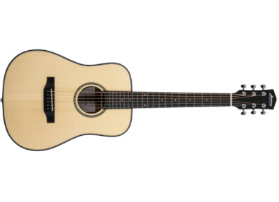 Harmony (String Instruments) e-Terra ST Petite Dreadnought