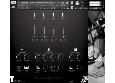 Muletone Audio Djembê