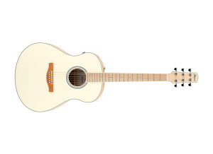 Ibanez AAM370M2E