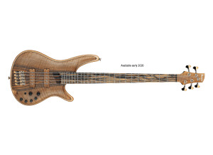 Ibanez IV1SR