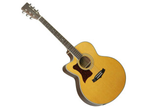 Tanglewood TW55 NS E LH