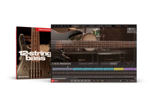 Toontrack 12-String Bass EBX