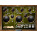 Voir la photo du Noisebud Leaky4 Noisebud Leaky4