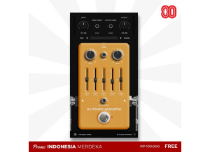 Polarity Audio DI To Mic Acoustic