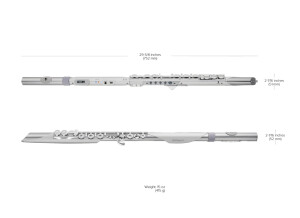 Roland Aerophone Brisa