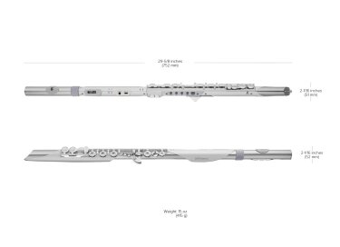 Roland Aerophone Brisa