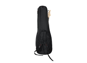 Gator Cases GB-4G-Bassx2