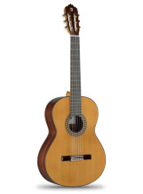 Alhambra Guitars 5P