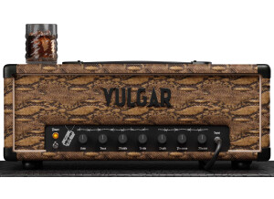 Audio Assault Vulgar Amp