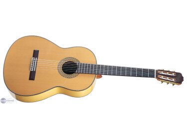 Takamine EFG136S