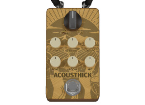 Audio Assault Acousthick