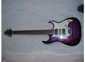 Samick interceptor serie greg benett