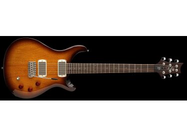 PRS SE DGT Standard
