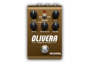 Strymon Olivera Vintage Oil Can Echo