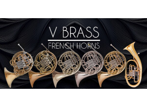 AcousticSamples VBrass French Horns