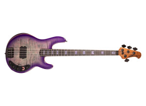 Music Man DarkRay BFR Grapes of Wrath