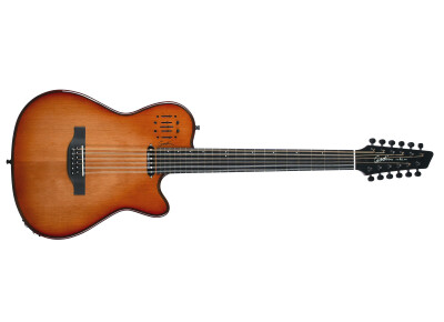 Godin A12 Ultra Dlx