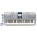 See the photo of the Yamaha PSR PK-1 Yamaha PSR PK-1