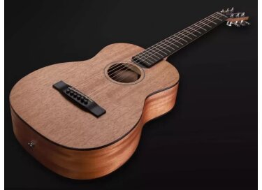 Furch LJ10-MM (LR Baggs)