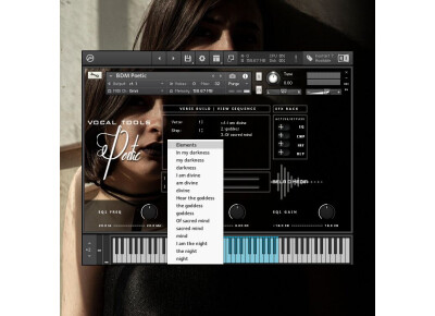 Bela D Media Vocal Tools Poetic