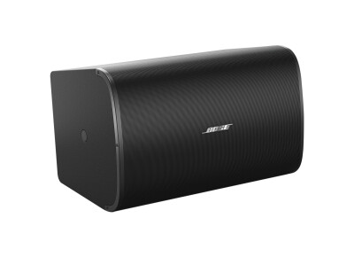 Bose DesignMax DM10S-SUB