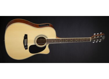 Jack & Danny D-110CE