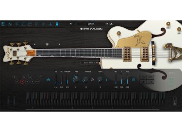 Ample Sound AGWF Hollow Body Guitar