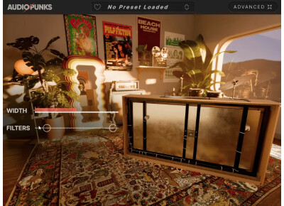 Audiopunks Ecoplate Reverb