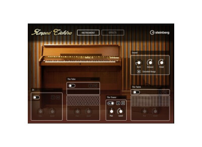 Steinberg Amped Elektra