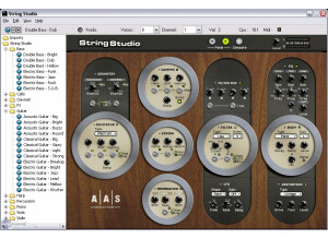 Applied Acoustics Systems String Studio VS-1