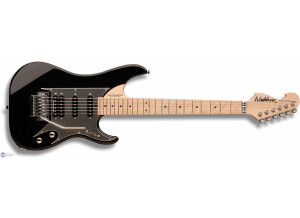 Washburn N6