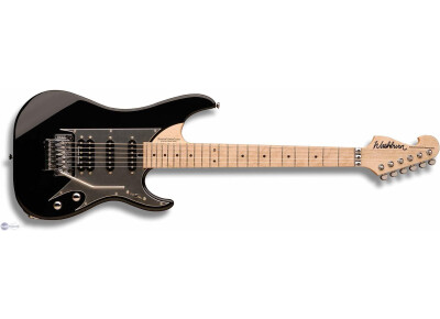 Washburn N6