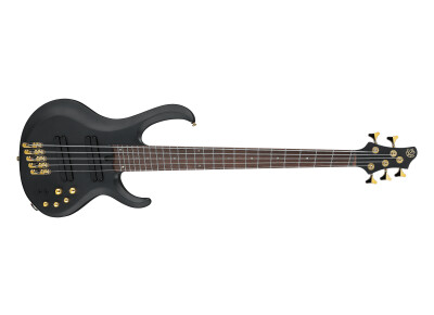 Ibanez BTB605LM