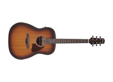 Ibanez AAD54E