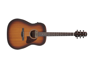 Ibanez AAD54E