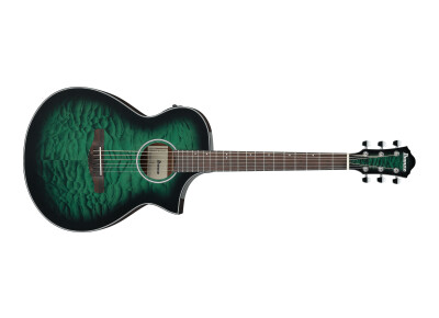 Ibanez AEWC16QA