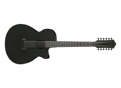 Ibanez AEG1221