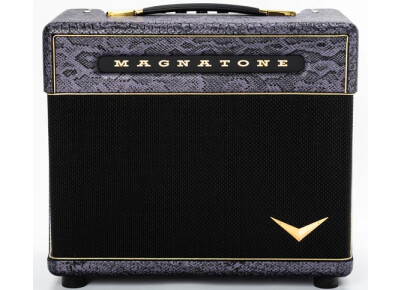 Magnatone Amps Slash Baby M-80 Combo
