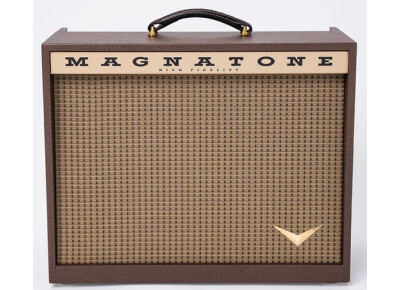 Magnatone Amps Kingston