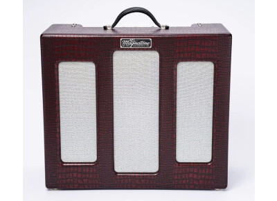 Magnatone Amps Varsity Reverb - Point to Point