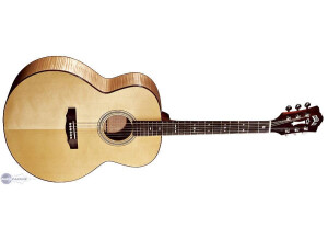 Guild JF30
