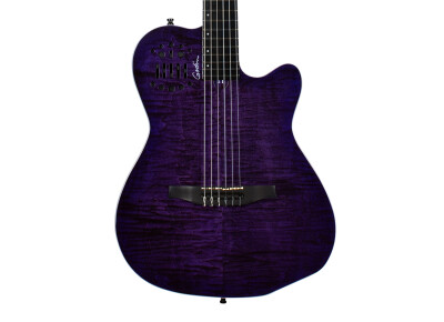 Godin ACS Nylon Steve Stevens Signature 25th Anniversary