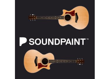 Soundpaint Instant Steel String Guitar Solo