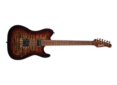 Godin Artisan TC (2025)